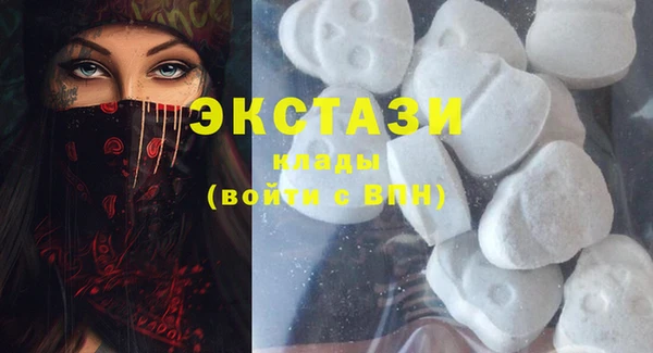 индика Медногорск