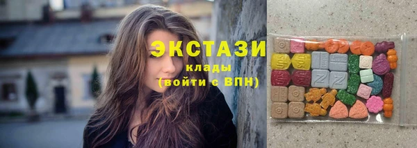 индика Медногорск