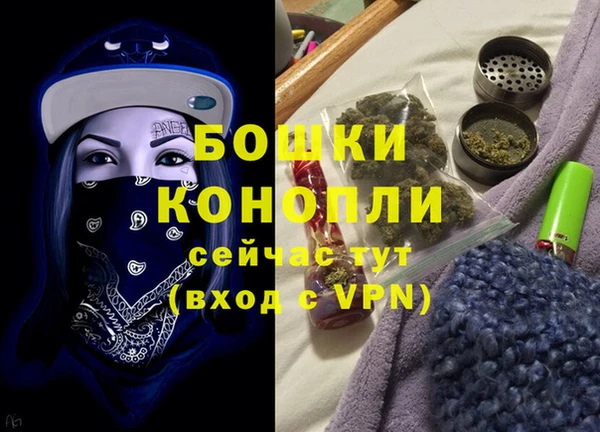 индика Медногорск