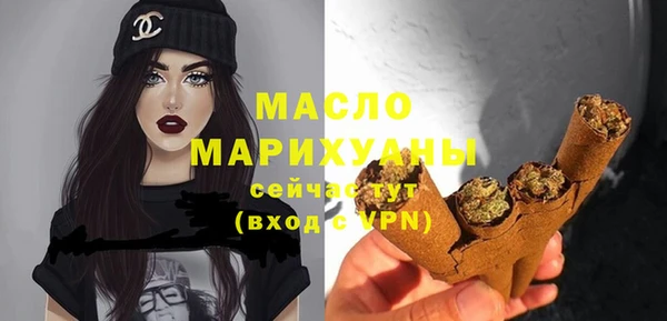 индика Медногорск