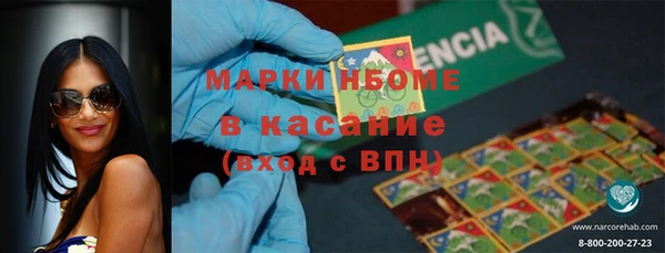 индика Медногорск