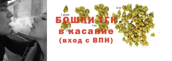 индика Медногорск