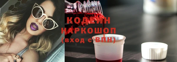 индика Медногорск