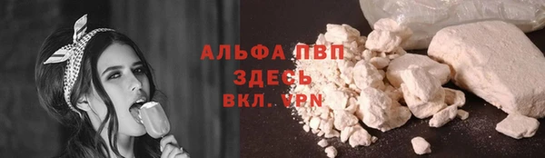индика Медногорск