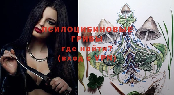 индика Медногорск