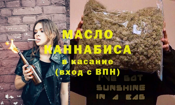 индика Медногорск
