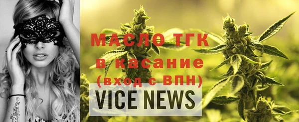 индика Медногорск
