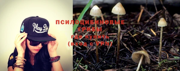 индика Медногорск