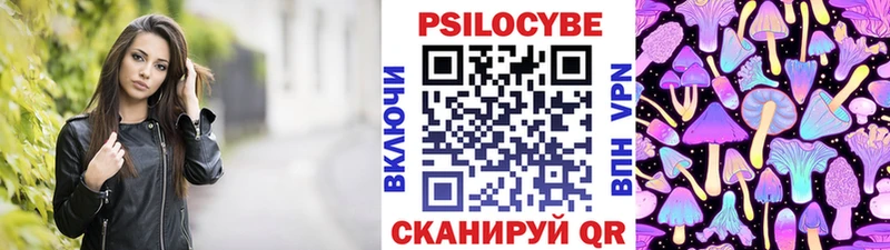 Купить где  Абакан  Галлюциногенные грибы Psilocybe 