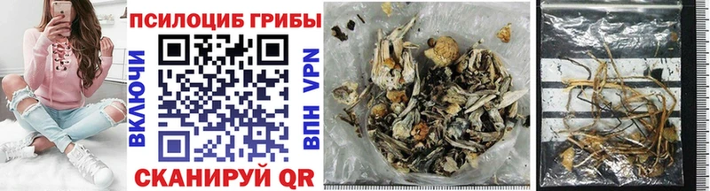 Галлюциногенные грибы Psilocybine cubensis Абакан